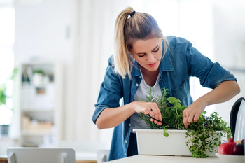 Young woman indoors at home, cutting herbs.