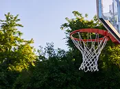 Narconon Colorado Sports