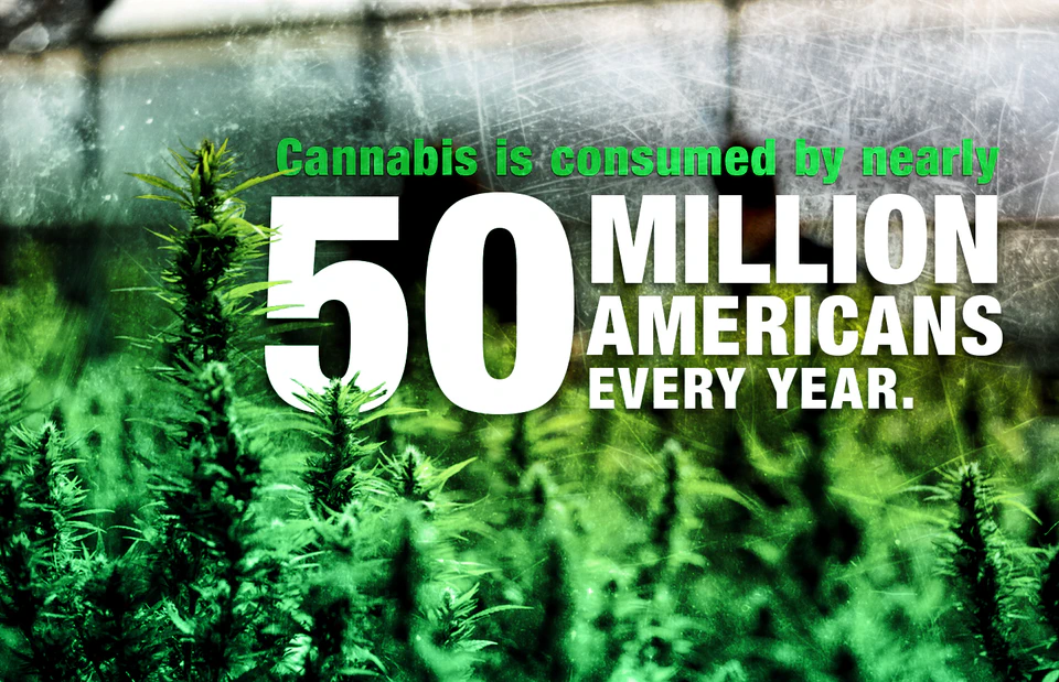 Cannabis is consumed by nearly 50 million American every year.